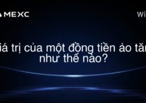Giá trị của một đồng tiền ảo tăng như thế nào?