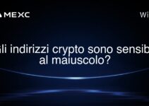 Gli indirizzi crypto sono sensibili al maiuscolo?