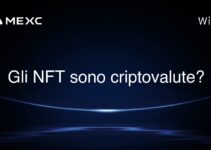 Gli NFT sono criptovalute?