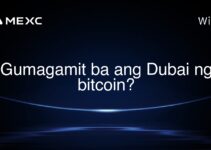 Gumagamit ba ang Dubai ng bitcoin?