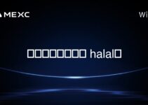 為什麼加密貨幣是 halal？