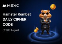 Today’s Hamster Kombat Daily Cipher Code for August 12, 2025