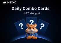 Today’s Hamster Kombat Daily Combo Cards Answer – August 22, 2025