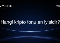 Hangi kripto fonu en iyisidir?