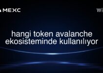 hangi token avalanche ekosisteminde kullanılıyor