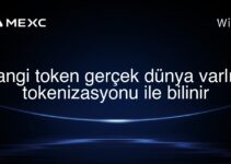 hangi token gerçek dünya varlığı tokenizasyonu ile bilinir