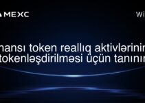 hansı token reallıq aktivlərinin tokenləşdirilməsi üçün tanınır