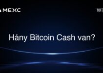 Hány Bitcoin Cash van?