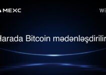 Harada Bitcoin mədənləşdirilir?