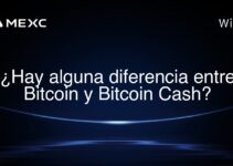 ¿Hay alguna diferencia entre Bitcoin y Bitcoin Cash?