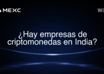 ¿Hay empresas de criptomonedas en India?