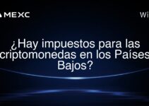 ¿Hay impuestos para las criptomonedas en los Países Bajos?