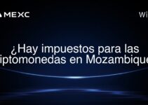 ¿Hay impuestos para las criptomonedas en Mozambique?