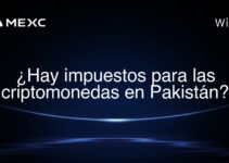¿Hay impuestos para las criptomonedas en Pakistán?