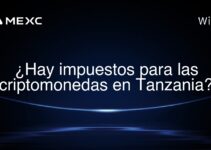 ¿Hay impuestos para las criptomonedas en Tanzania?