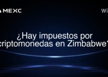 ¿Hay impuestos por criptomonedas en Zimbabwe?