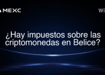 ¿Hay impuestos sobre las criptomonedas en Belice?