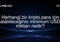 Herhangi bir kripto para için alabileceğiniz minimum USD miktarı nedir?