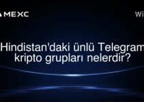 Hindistan’daki ünlü Telegram kripto grupları nelerdir?