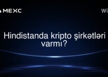 Hindistanda kripto şirkətləri varmı?