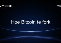Hoe Bitcoin te fork
