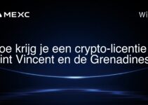 Hoe krijg je een crypto-licentie in Sint Vincent en de Grenadines?