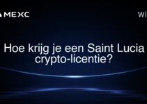 Hoe krijg je een Saint Lucia crypto-licentie?