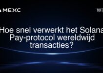 Hoe snel verwerkt het Solana Pay-protocol wereldwijd transacties?