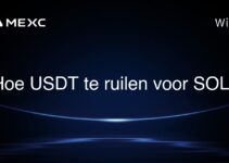 Hoe USDT te ruilen voor SOL?