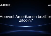 Hoeveel Amerikanen bezitten Bitcoin?