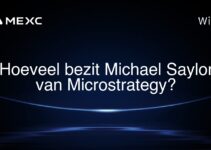Hoeveel bezit Michael Saylor van Microstrategy?