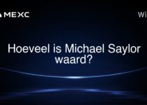 Hoeveel is Michael Saylor waard?