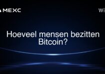 Hoeveel mensen bezitten Bitcoin?