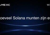 Hoeveel Solana munten zijn er?