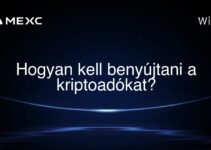 Hogyan kell benyújtani a kriptoadókat?