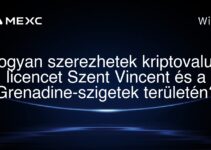 Hogyan szerezhetek kriptovaluta licencet Szent Vincent és a Grenadine-szigetek területén?
