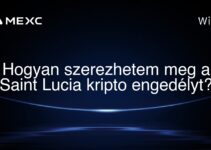 Hogyan szerezhetem meg a Saint Lucia kripto engedélyt?