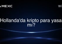Hollanda’da kripto para yasal mı?