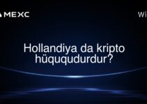 Hollandiya da kripto hüququdurdur?