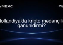 Hollandiya’da kripto mədənçiliyi qanunidirmi?