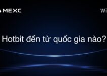 Hotbit đến từ quốc gia nào?