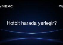 Hotbit harada yerləşir?