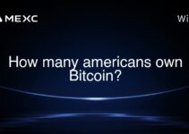 How many americans own Bitcoin?