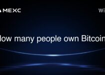 How many people own Bitcoin?