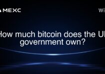 How much bitcoin does the UK government own?