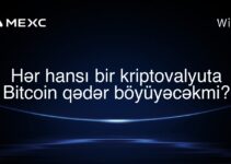 Hər hansı bir kriptovalyuta Bitcoin qədər böyüyəcəkmi?