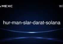 hur-man-slar-darat-solana
