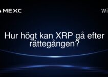 Hur högt kan XRP gå efter rättegången?