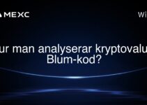 Hur man analyserar kryptovaluta Blum-kod?
