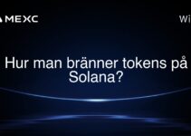 Hur man bränner tokens på Solana?